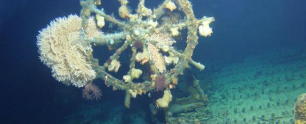 World War II 'ghost ship' discovered off the coast of Hawaii