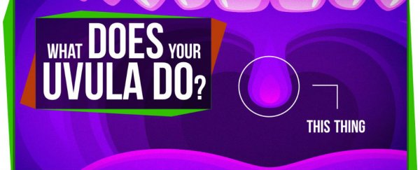 Watch: What does your uvula do?