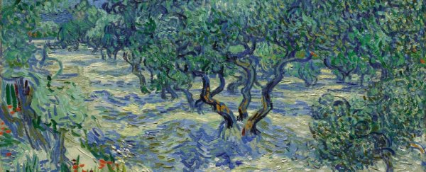 An actual insect was found trapped in this classic Van Gogh masterpiece