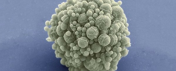 Biologists have just created a new species of bacteria with just 437 genes