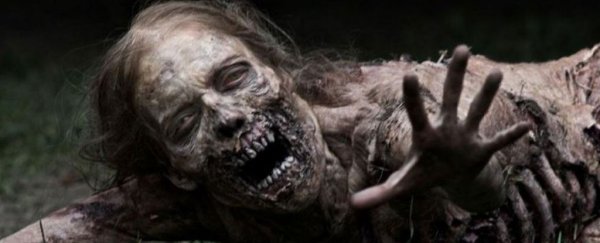 Study calls for international action to prevent a 'zombie apocalypse'
