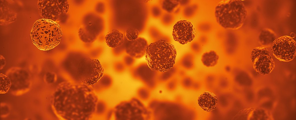 We Could Solve Drug Resistance by Getting Microbes to Fight Each Other