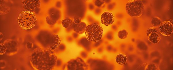 We could solve drug resistance by getting microbes to fight each other