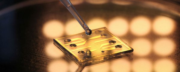 This new biosensor can detect water contamination as it happens
