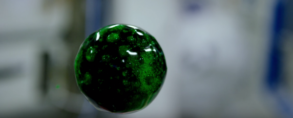 Watch: 4K cameras shoot bubbles in zero gravity