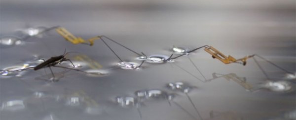 Scientists develop creepy insect-like robot that can jump on water