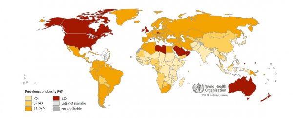 These are the most obese countries in the world