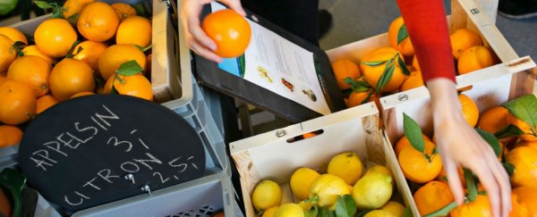 This new Danish supermarket only sells food past its expiry date