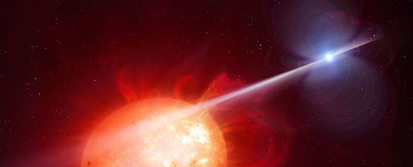 The first white dwarf pulsar in the Universe has been found after half a century
