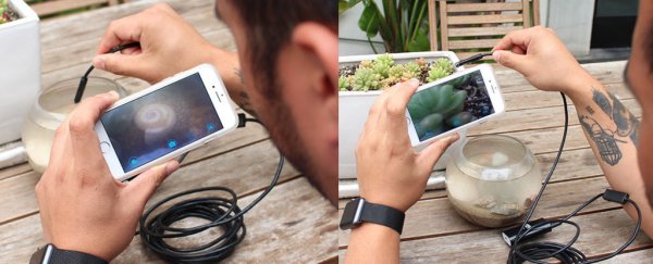 ScienceAlert Deal: See into tight spaces with this WiFi Endoscopic Camera