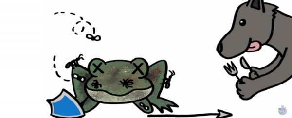 WATCH: How to eat a rotting carcass and not get sick