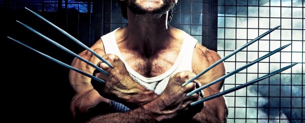 This new self-healing, stretchable material is perfect for Wolverine