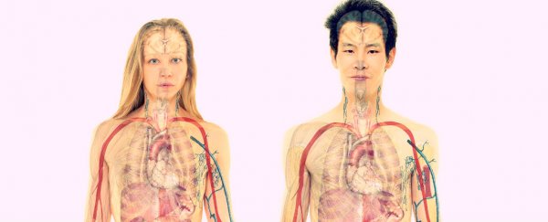 Male and female brains age differently, new study finds