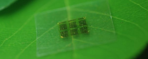 Scientists develop biodegradable computer chips made from wood