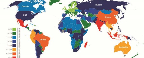 Here's where the most threatened mammals are in the world