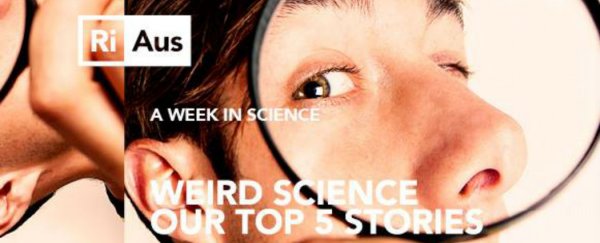 WATCH: The Five Weirdest Science Stories of 2014