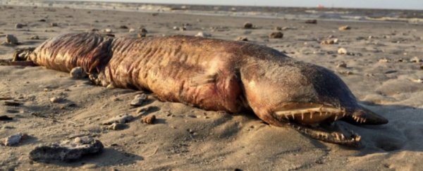 13 of this year's creepiest science stories for your Halloween enjoyment