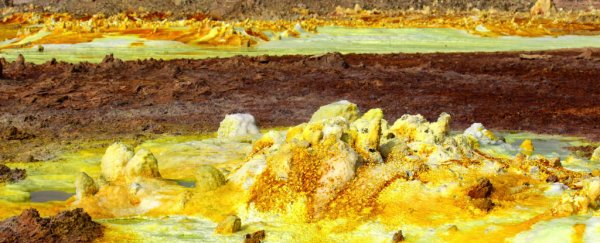 Scientists just embarked on a world-first expedition to Ethiopia's toxic hot springs
