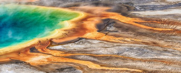 We're about to find out what's rumbling below the Yellowstone Supervolcano