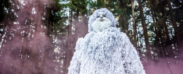 Latest DNA analysis shows the Yeti are actually just a bunch of bears