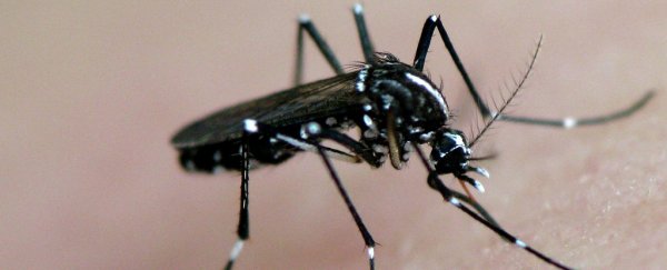 Scientists might have just found a way to protect babies from Zika