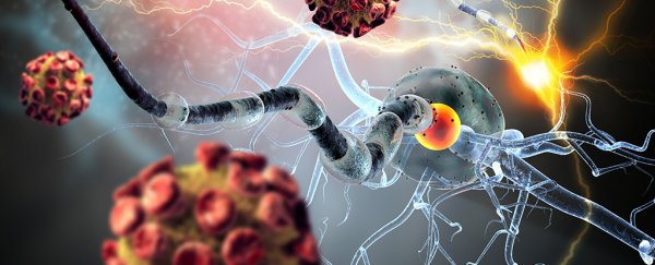 Zika virus could actually be turned into a weapon against brain cancer