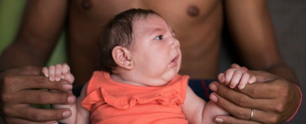 The CDC has released new safety guidelines for the Zika virus