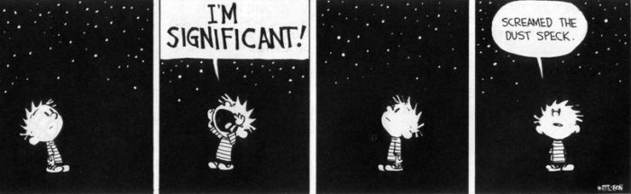 calvin- amp -hobbes-i m-significant