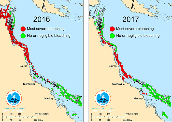 coral-bleaching-event-data