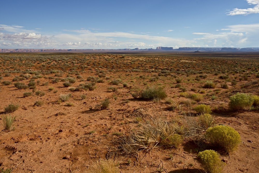 desertBI