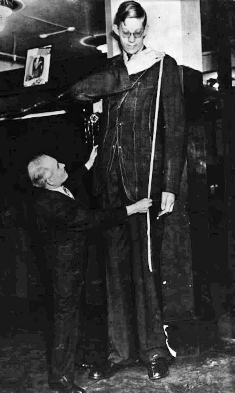 It s The Birthday of The Tallest Man Who Ever Lived It s The Birthday of The Tallest Man Who Ever Lived