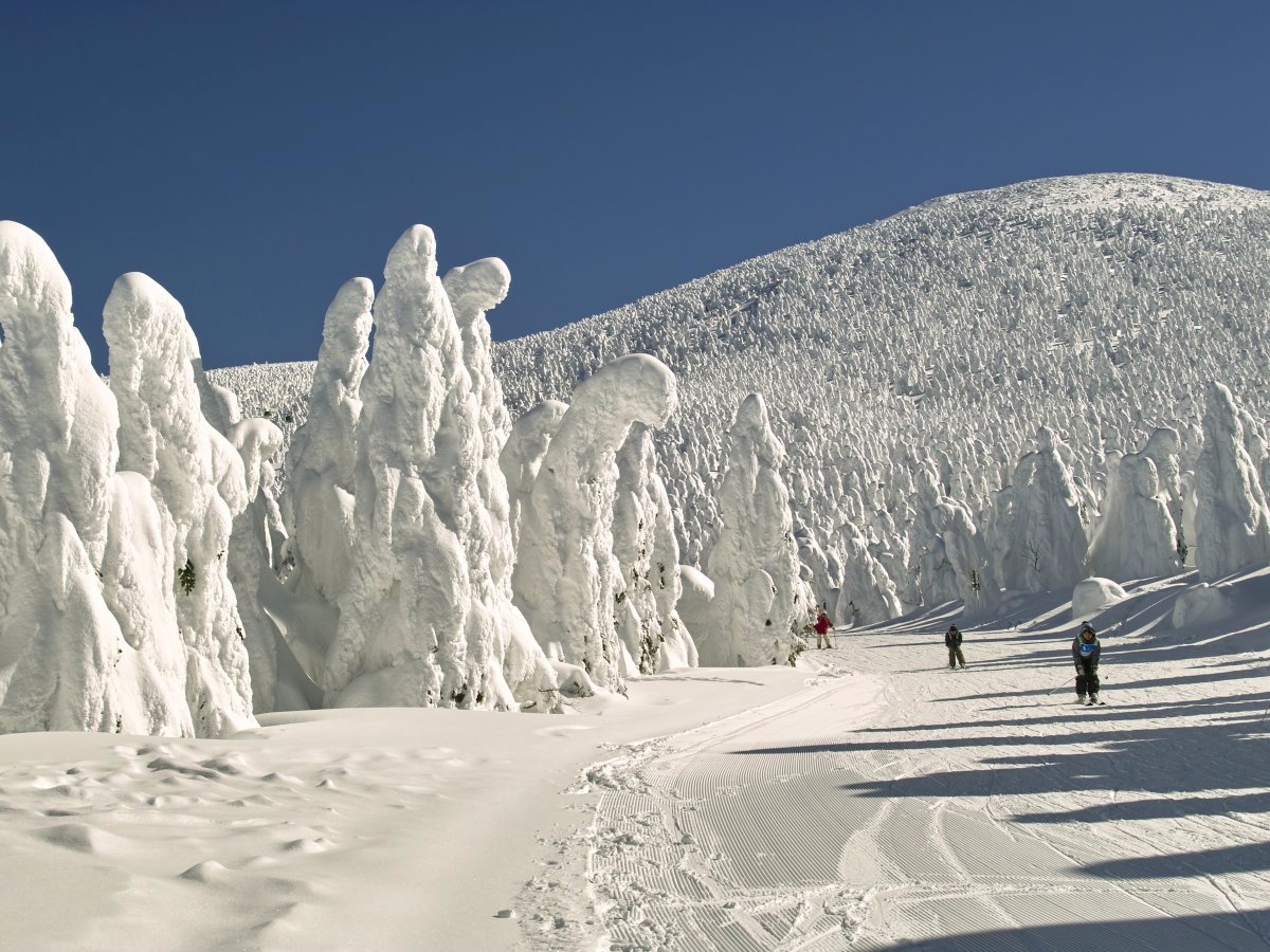 visit-the-zao-onsen-hot-spring-and-ski-resort-located-in-the-mountains-of-japans-yamagata-prefecture-and-youll-see-ice-trees--trees-that-pack-on-heavy-amounts-of-snow-to-take-on-fascinating-shapes