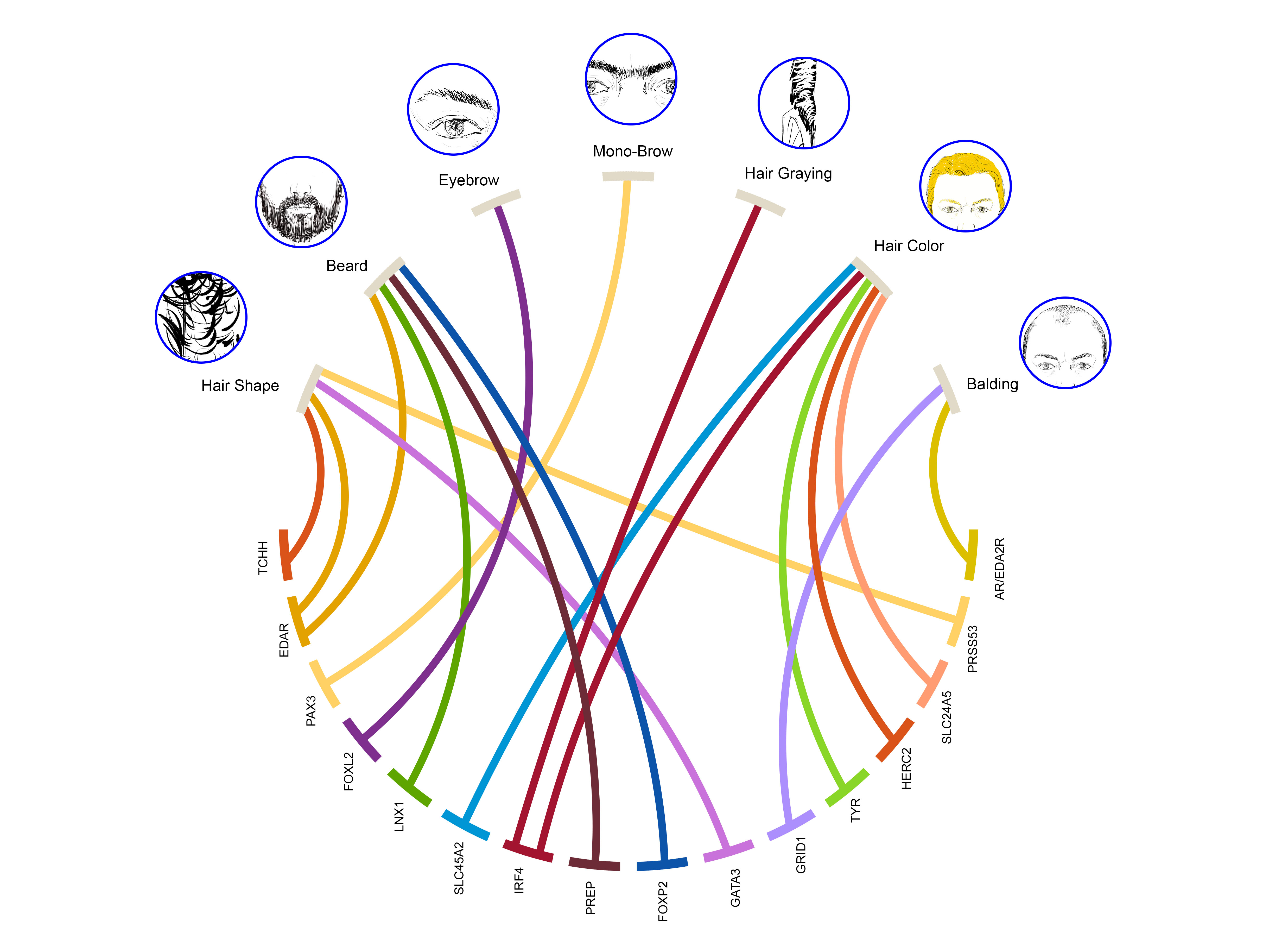 figure1 cropped-web