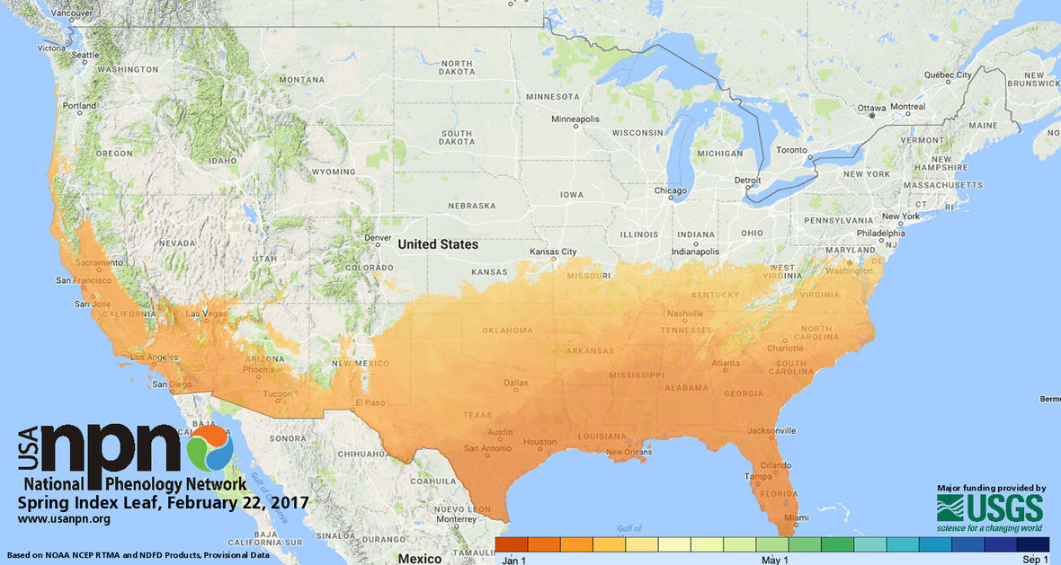 six-leaf-index Feb 22 2017 0