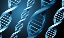 Kativ_-_DNA