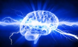 brain_cosmin4000
