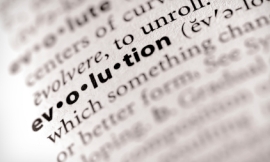firebrandphotography_-_evolution