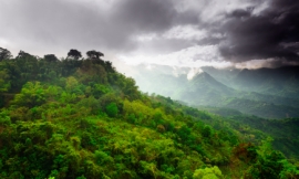 funky-data_-_flores_island_indonesia