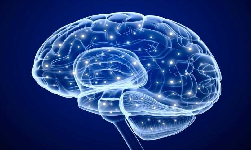 AlexMit_brain_shutterstock