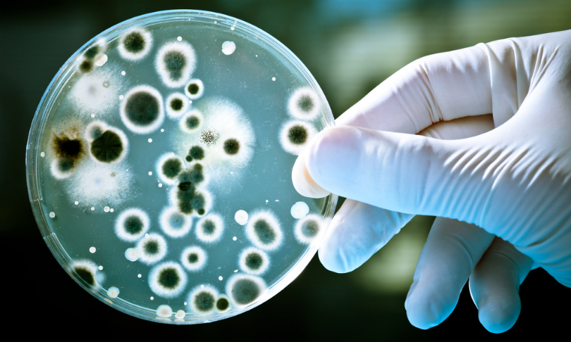 Alexander_Raths_Bacteria_shutterstock