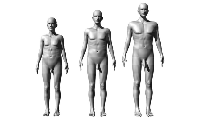 Brian_Mautz_SizeMatter_Monash
