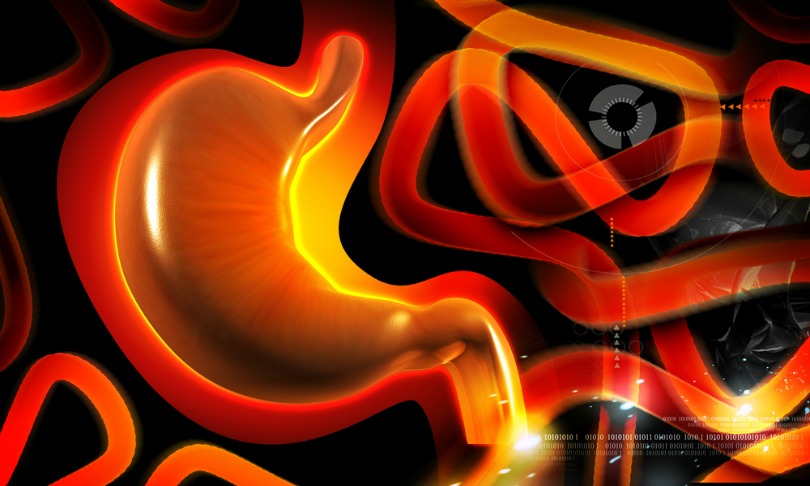 Creations_gut_shutterstock