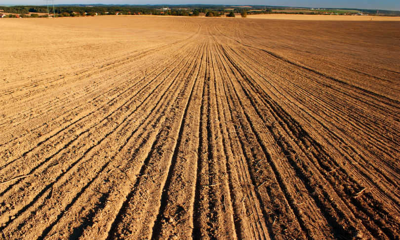 Daniel_Prudek_Soil_shutterstock