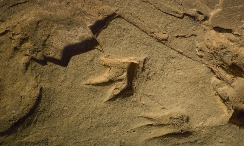 Dr_Steve_Salisbury_LarkQuarryDinosaurs_QT