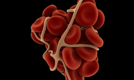Eraxion-blood_clot-iStock
