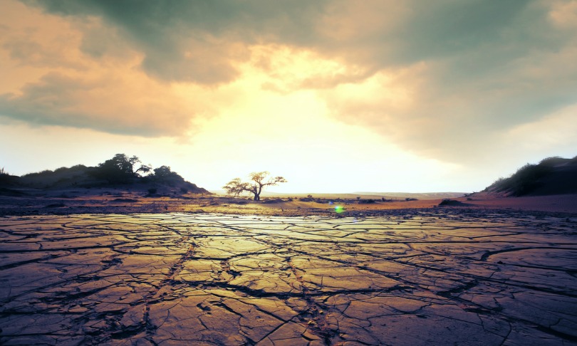 GalynaAndrushko_drought_shutterstock