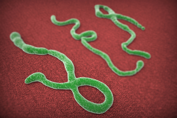 Giovanni_Cancemi_Ebola_shutterstock