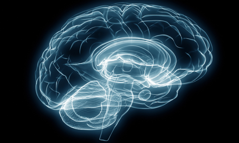 Jezper_Brain_shutterstock