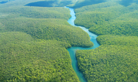 JohnnyLye_River_iStock