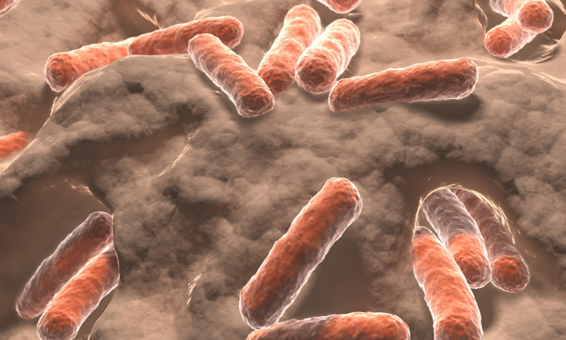 Juan_Gaertner_GutBacteria_shutterstock